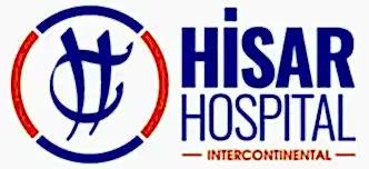 Hisar Grup